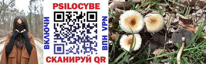 Галлюциногенные грибы Psilocybe  что такое   Дзержинск 